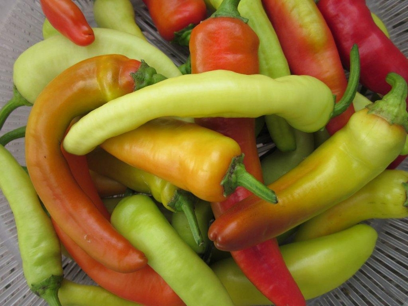 Variety Sizes Hungarian Wax Hot Pepper Seeds Hot Banana Pepper NON-GMO