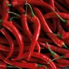 Thai Hot Chilli - Image 2