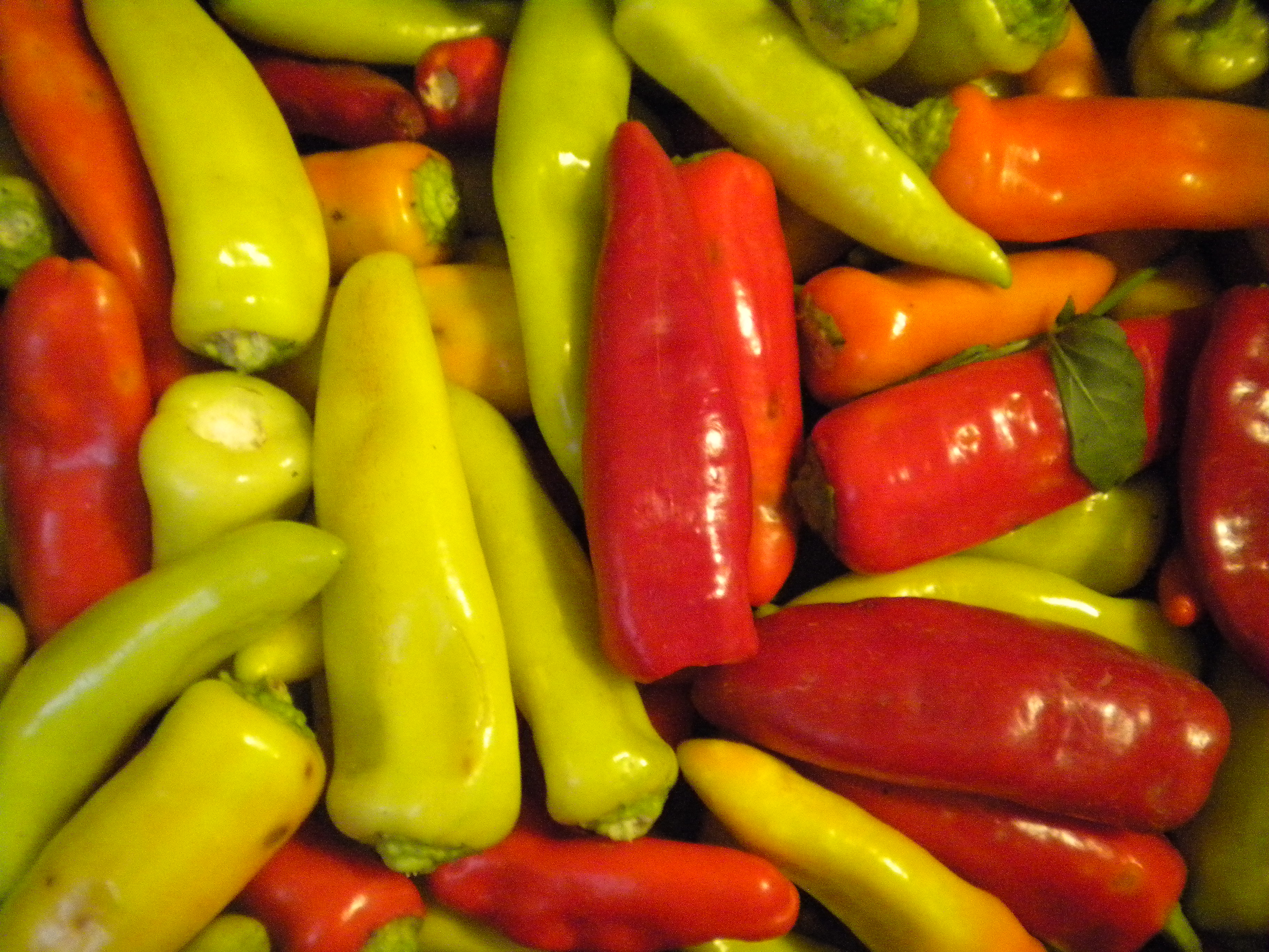 Hungarian Wax Hot Pepper Asia Seeds