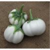 Thai White Ribbed Eggplant - Image 2