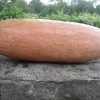 Banana Pink jumbo - Image 4