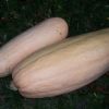 Banana Pink jumbo - Image 3