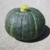 Kabocha - Image 4