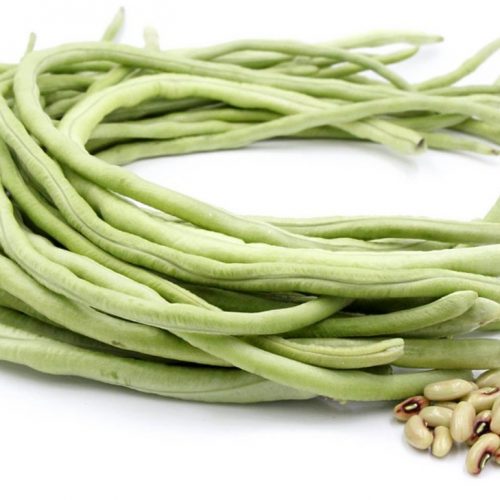 Asparagus yard long bean Asia Seeds